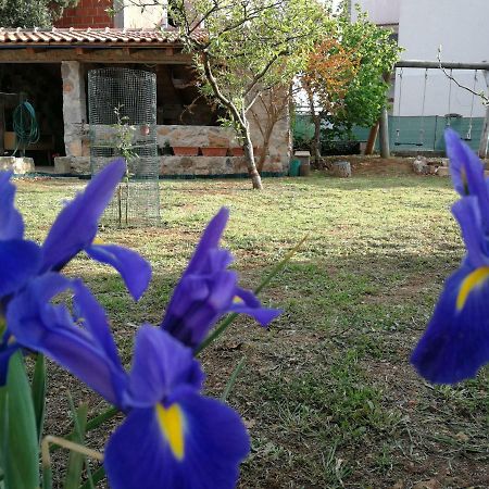 Apartments Gorka Vodice Exterior photo